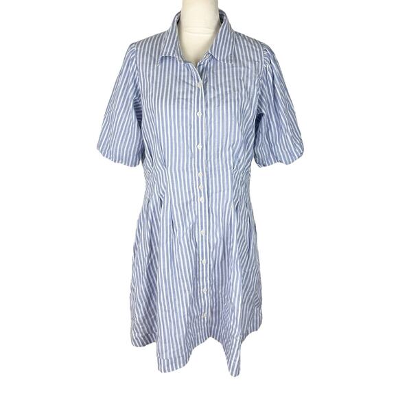 Caroline Constas Striped Blue White Shirt Dress 100% Cotton Size Large NEW - Picture 1 of 7